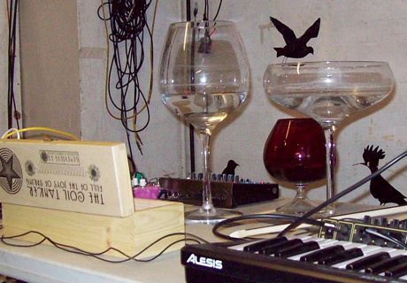 TheseFeathersHavePlumes